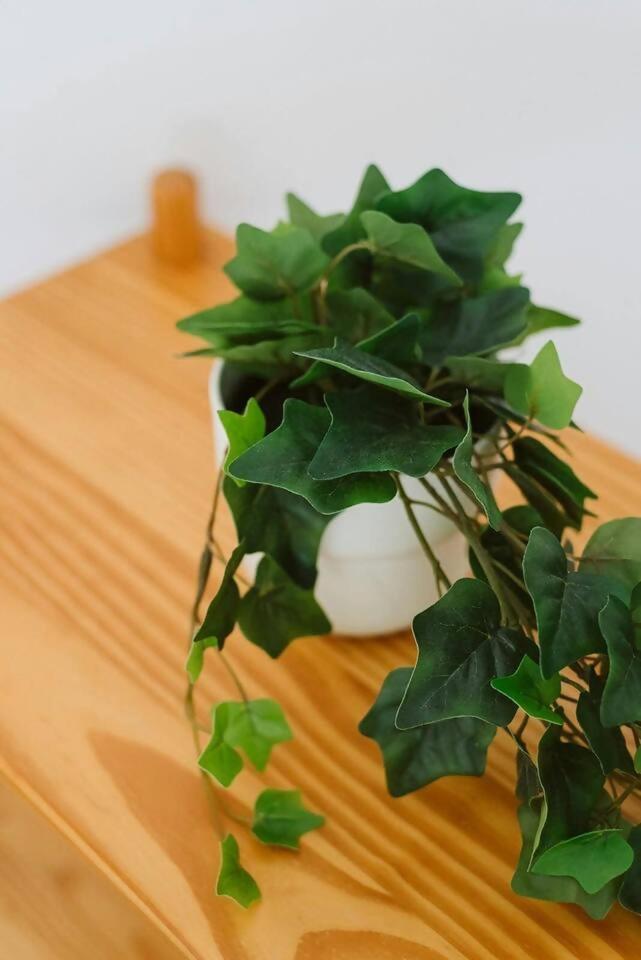 Cantal Sallent De Gallego Sencillo Y Acogedor Ngoại thất bức ảnh